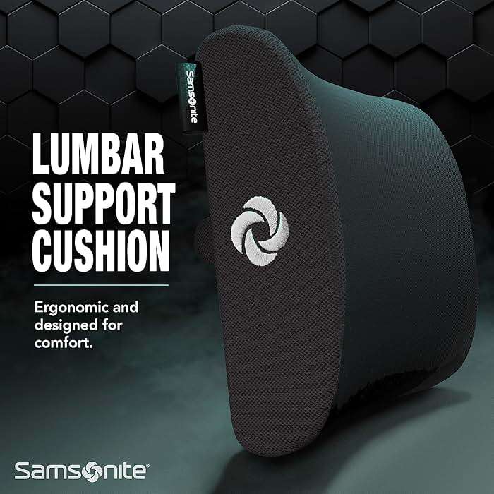 Samsonite Lumbar Support Pillow for Office Chair, Lower Back Support for Car, Back Pillow Desk Chair Cushion with Memory Foam, Improved Posture Backrest - Image 6