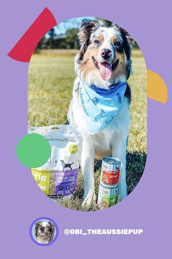 I and love and you Wet Dog Food - Baad Mooon On The Rise Variety Pack - Beef + Lamb, Grain Free, Filler Free 13oz can, 6pk - Image 8