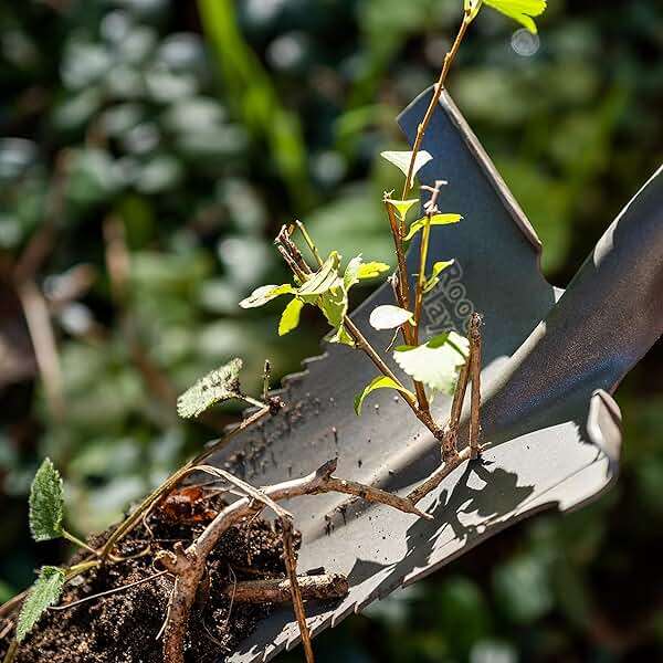 Root Slayer 22311, Nomad, Red - Image 9