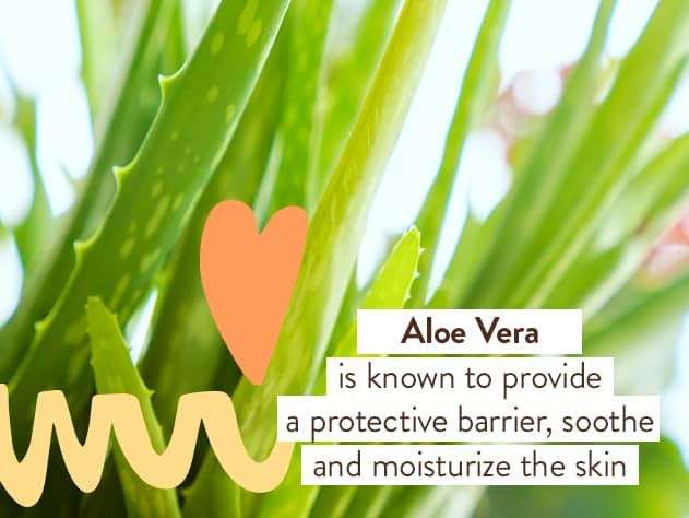 Babo Botanicals Sensitive Baby Fragrance-Free 2-in-1 Shampoo & Wash - Shea Butter, Calendula & Aloe Vera - EWG Verified - Cruelty-Free - Vegan - Pediatrician Tested - For Babies & Kids - Image 12