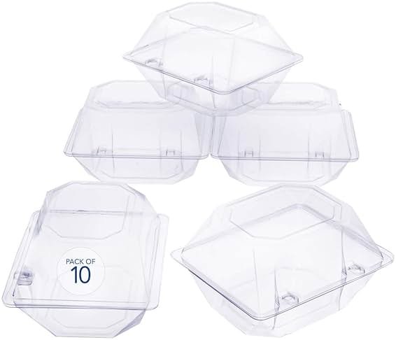 Royal Imports Clear Plastic Flower Box for Corsage, Boutonniere, Rose, Orchid Prom Wedding Craft Container 5x4x3-10 Pack - Product Image