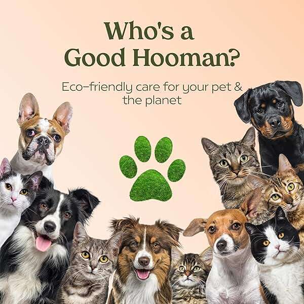 PAWFUME Dog Perfume Spray Long Lasting Scent for Grooming, Show Dog, 1-Pack – Keep Your Pup Fresh All Day – Hypoallergenic, Alcohol-Free, Detangling Formula – Moisturizing Pet Cologne Spray for Dogs - Image 9