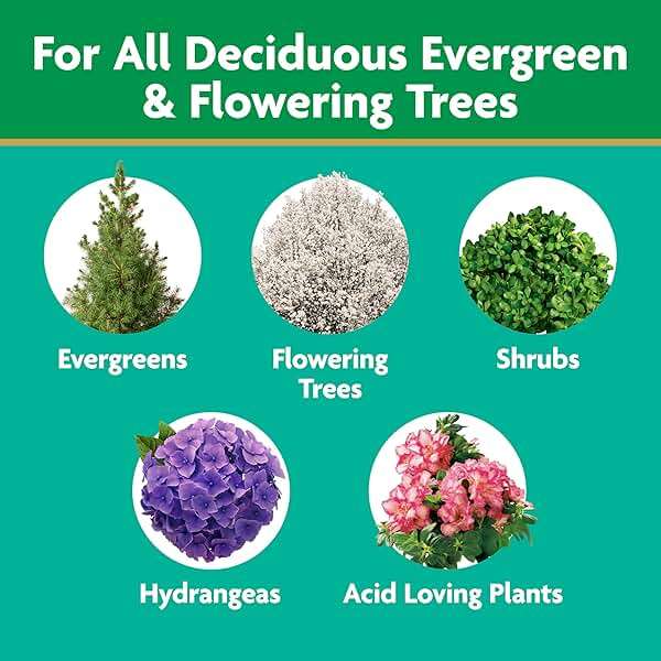 Miracle-Gro Tree and Shrub Plant Food Spikes - Deciduous, Flowering & Evergreen Tree Fertilizer Spikes, Hydrangeas, and Acid-Loving Plants, 12 Count, 3 lb. - Image 3