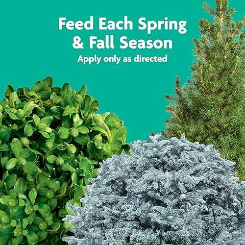 Miracle-Gro Tree and Shrub Plant Food Spikes - Deciduous, Flowering & Evergreen Tree Fertilizer Spikes, Hydrangeas, and Acid-Loving Plants, 12 Count, 3 lb. - Image 4