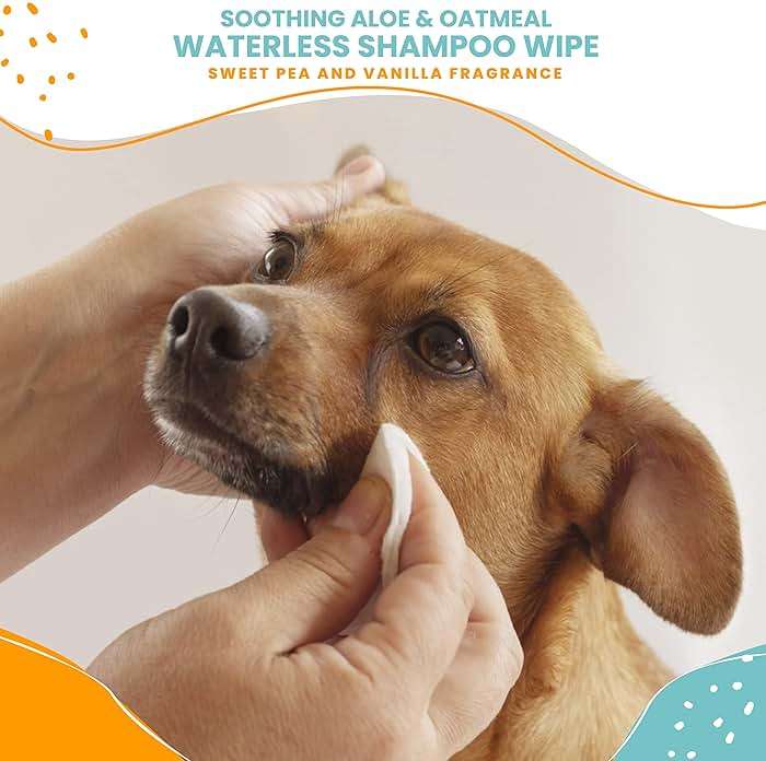 Nootie Waterless Shampoo Wipes for Dogs & Cats (70 Wipes, Sweet Pea & Vanilla) - Image 3