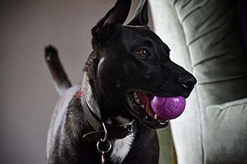 Chew King Fetch Balls Extremely Durable Natural Rubber Toy 2.5 inch, 8-pack (CM-0264-CS01) - Image 7