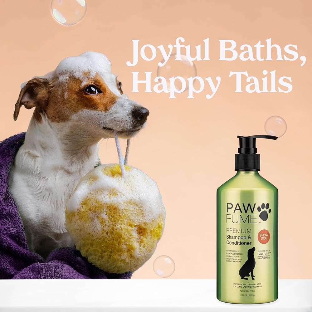 PAWFUME Deshedding Dog Shampoo and Conditioner, Show Dog, 1-Pack – Nourish & Detangle for Silky Soft Coat – Probiotic, Deep-Cleaning, pH-Balanced Formula – Salon-Quality Shampoo for Dogs - Image 2