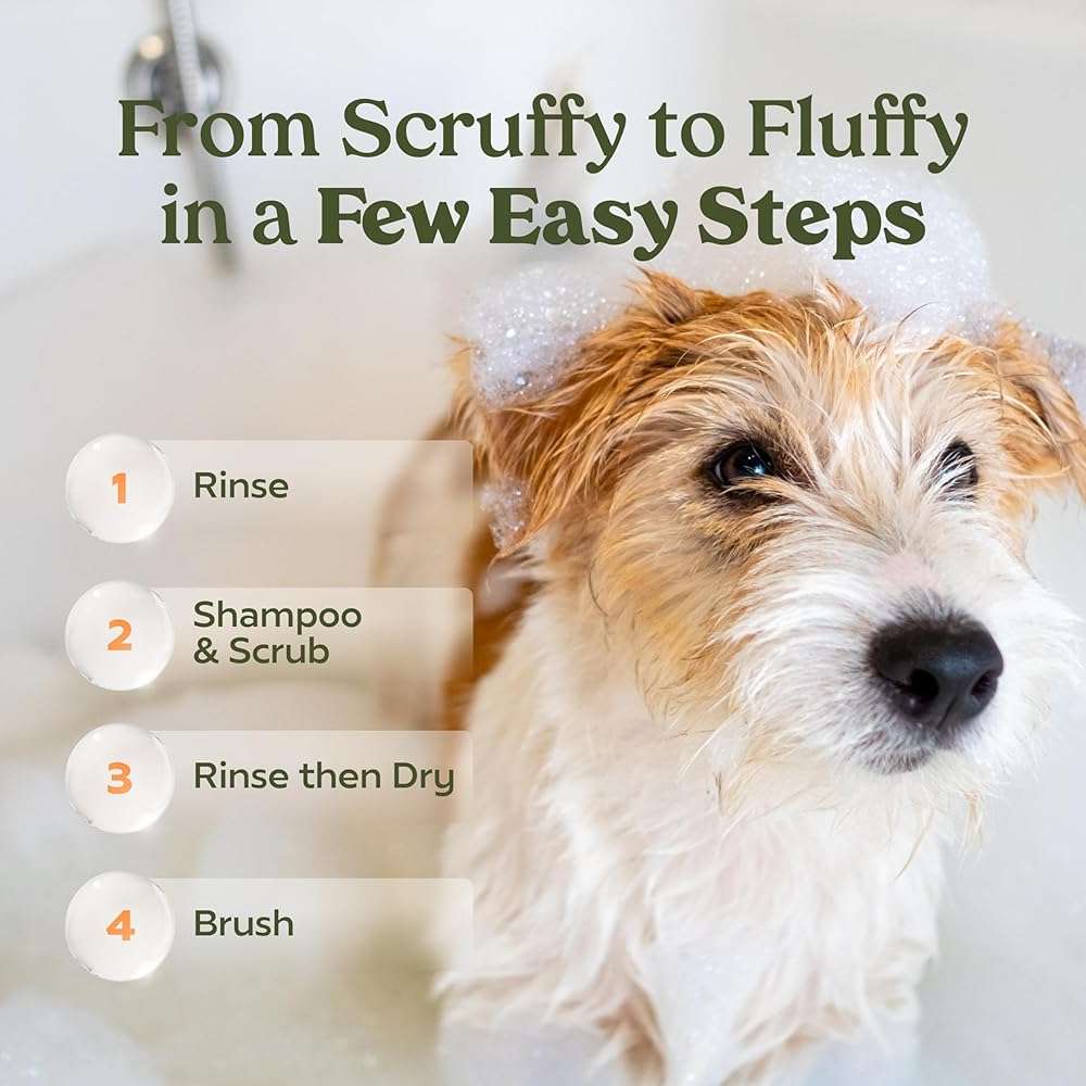 PAWFUME Deshedding Dog Shampoo and Conditioner, Show Dog, 1-Pack – Nourish & Detangle for Silky Soft Coat – Probiotic, Deep-Cleaning, pH-Balanced Formula – Salon-Quality Shampoo for Dogs - Image 12