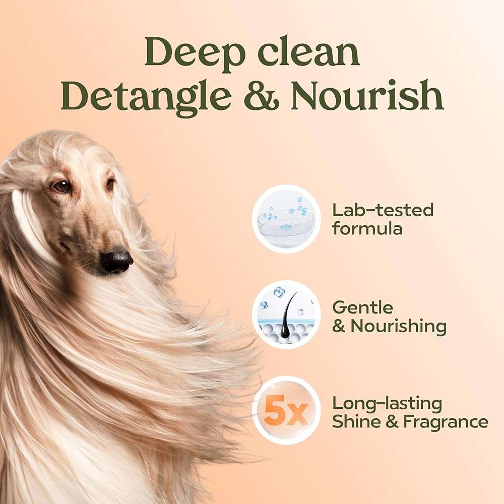 PAWFUME Deshedding Dog Shampoo and Conditioner, Show Dog, 1-Pack – Nourish & Detangle for Silky Soft Coat – Probiotic, Deep-Cleaning, pH-Balanced Formula – Salon-Quality Shampoo for Dogs - Image 5