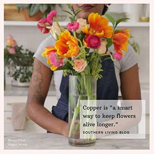Precious Petal Co. Flower Food Alternative for Fresh Cut Flowers. Copper Charm Keeps Flower Water Clean and Clear. Just Place it in the Vase, Reusable (1) - Image 2