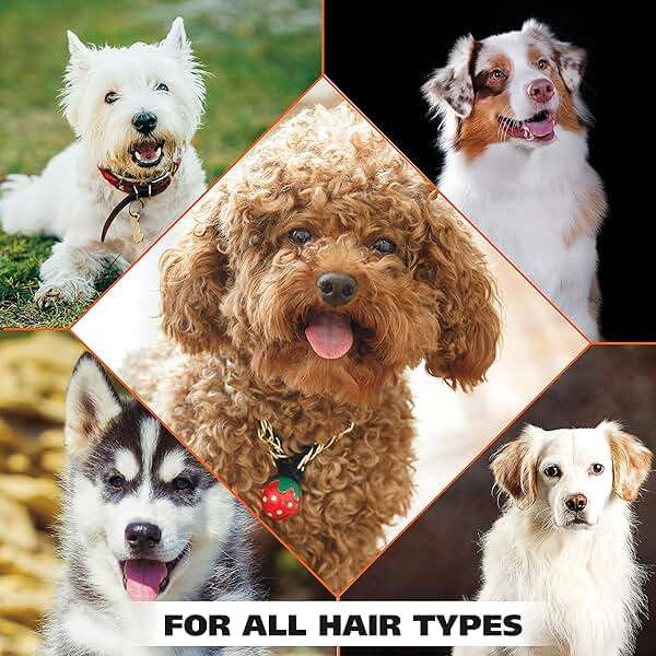 Wahl USA 4-in-1 Calming Pet Shampoo for Dogs with a Lavender Chamomile Scent – Cleans, Conditions, Detangles, & Moisturizes - Pet Friendly Formula – 64 Oz - Model 821000-050 - Image 7