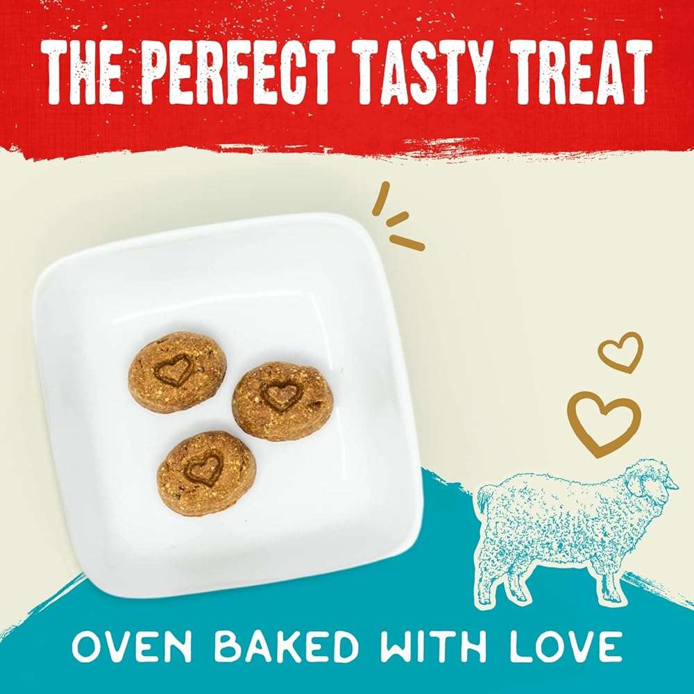 Stella & Chewy's Freeze-Dried Raw Coated Dog Biscuits – Grass-Fed Lamb Recipe – Protein Rich, Grain Free Dog & Puppy Treat – Great Snack for Training & Rewarding – 9 oz Bag - Image 2
