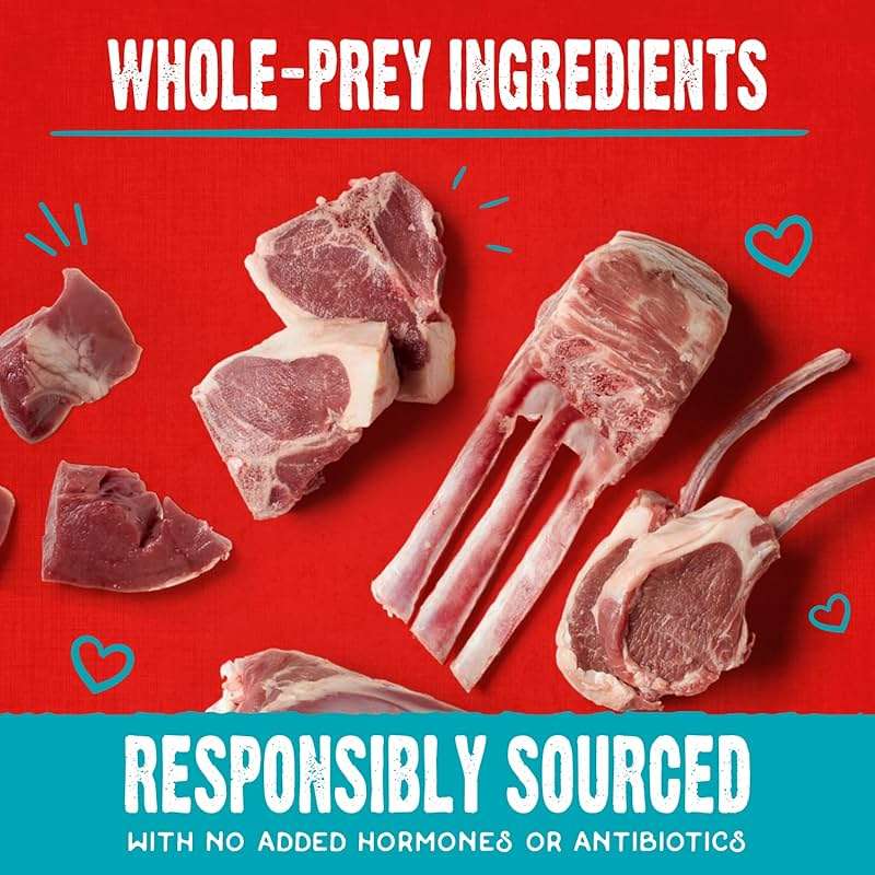 Stella & Chewy's Freeze-Dried Raw Coated Dog Biscuits – Grass-Fed Lamb Recipe – Protein Rich, Grain Free Dog & Puppy Treat – Great Snack for Training & Rewarding – 9 oz Bag - Image 5