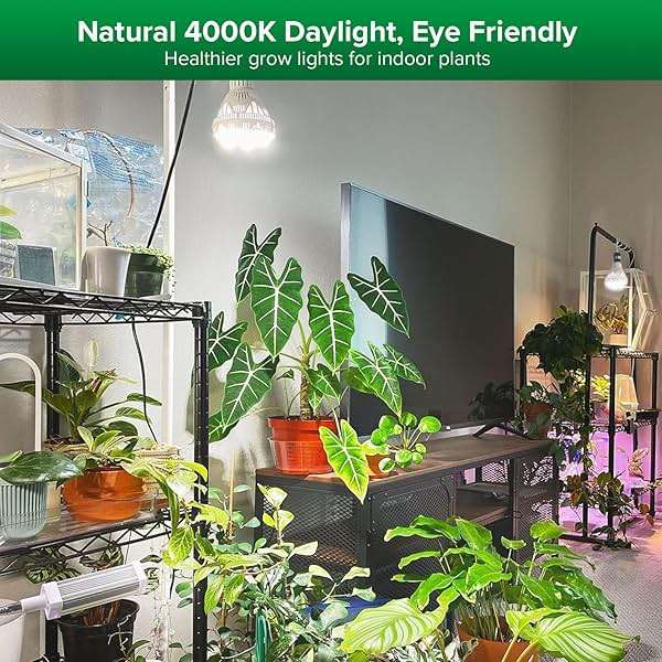 SANSI Grow Lights for Indoor Plants, Full Spectrum 36W Grow Light Bulbs (400 Watt Equiv) with Optical Lens for High PPFD, PPF 65.6 umol/s LED Energy Saving Plant Light for Indoor Growing Seed Starting - Image 2
