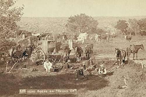 Cowboys eating near chuck wagon small groups of horses and cattle in campsite Poster Print by John CH Grabill (24 x 36) - Image 1
