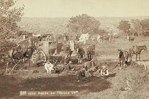 Cowboys eating near chuck wagon small groups of horses and cattle in campsite Poster Print by John CH Grabill (24 x 36) - Product Image