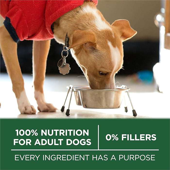 Purina One Small Breed Plus High-Protein Dog Food Lamb and Rice Formula Dry Dog Food - 7.4 lb. Bag - Image 7