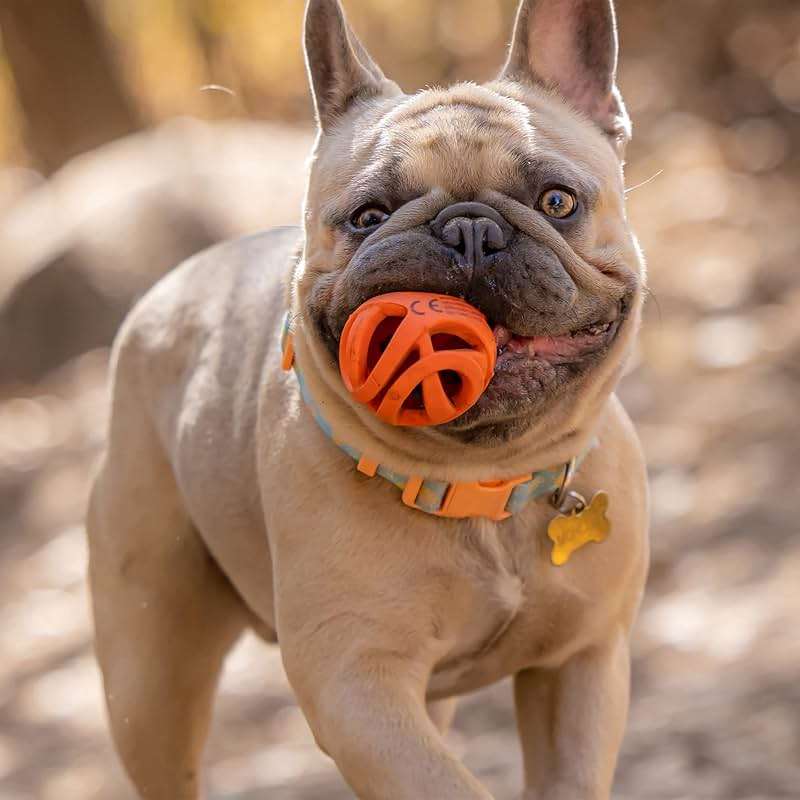 Chuckit! Air Fetch Ball Dog Toy, Medium (2.5 Inch Diameter), for dogs 20-60 lbs, Pack of 2 - Image 5