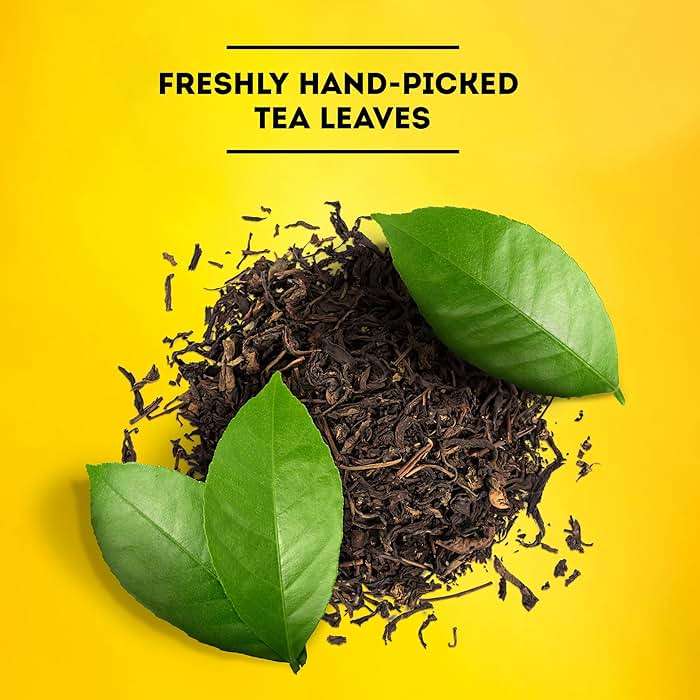 Lipton Unsweetened Iced Tea Bags, Family Size Zero Calories, 144 Total Tea Bags (24ct - Pack of 6) - Image 7