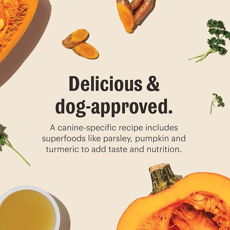 The Honest Kitchen Human Grade Daily Boosts Instant Beef Bone Broth with Turmeric for Dogs 3.6 Ounces - Image 6