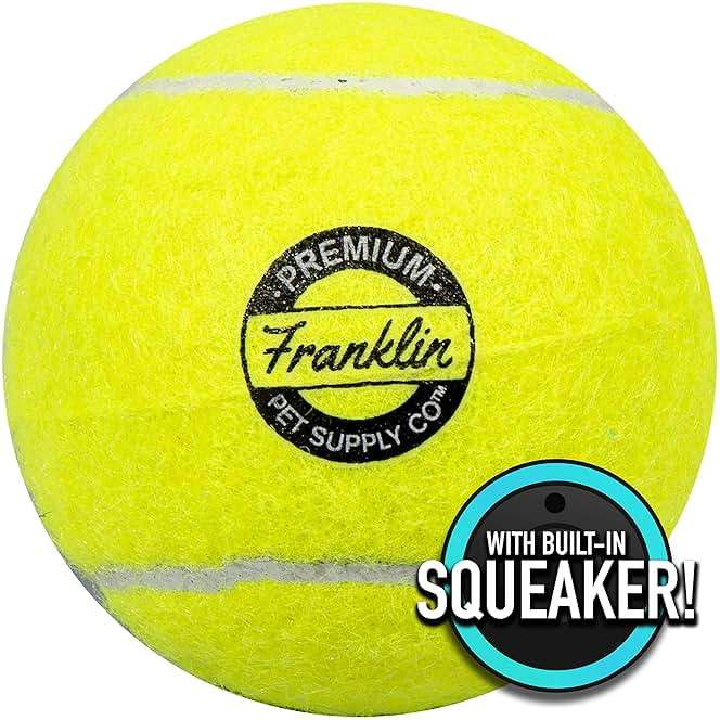 Franklin Pet Supply FETCH-IT LAUNCHER Tennis Ball Thrower - Image 2