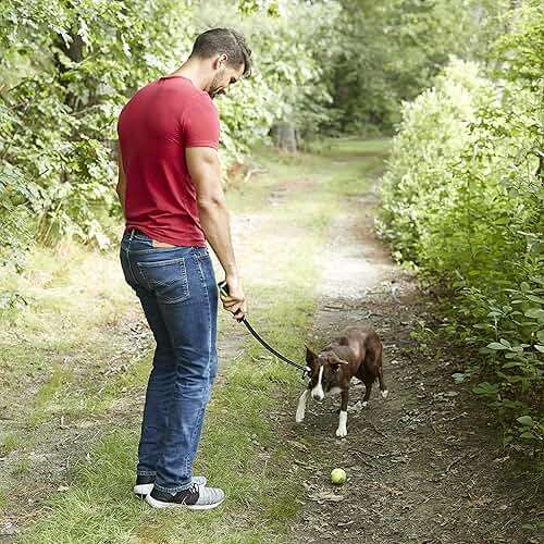 Franklin Pet Supply FETCH-IT LAUNCHER Tennis Ball Thrower - Image 8