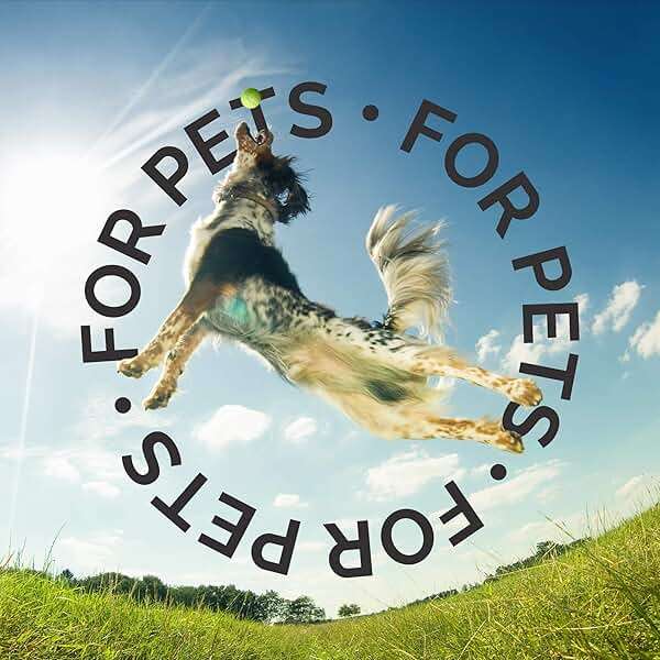 Bark2Basics Blueberry D-Mat Dog Conditioner, 1 Gallon | All Natural Ingredients, Multi-Purpose, Static Eliminating, Loosens Tough Mats and Tangles, Aids in Deshedding - Image 7