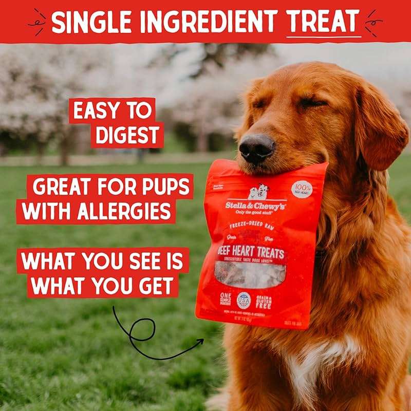 Stella & Chewy's Freeze-Dried Raw Beef Heart Dog Treats - Single Ingredient, No Additives - Premium Training Treats - Perfect For Picky Eaters - 3oz Bag - Image 2