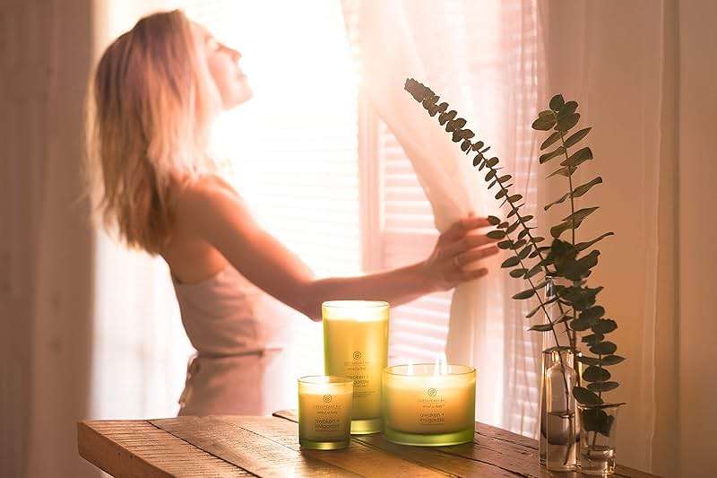 Chesapeake Bay Candle PT40886 Scented Candle, Awaken + Invigorate (Lemongrass Eucalyptus), Medium , Green, Home Décor - Image 2