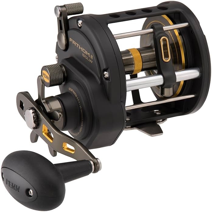 Penn Fathom II Level Wind-Multirolle – Salzwasser-Angelrolle für Boots-, Küsten- und Kajakangeln - Product Image