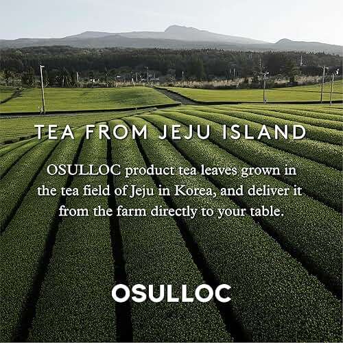 OSULLOC Honey Pear Tea (Sweet Pear & Honey Flavor), Iced tea bags Fruit tea Blend, Premium Teabags from Jeju Island, 20 count - Image 8
