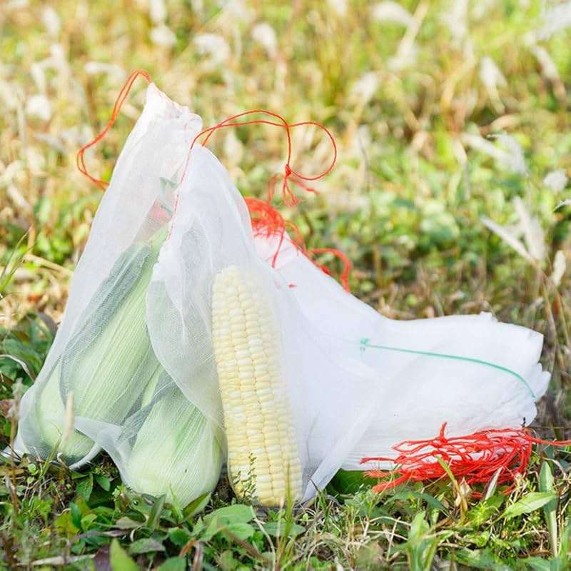 AKOAK 20 Count Insects Mosquito Bug Nets Barrier Bags Garden Plant Fruit Flower Protect Bags Garden Netting Bags for Protecting Your Plant Fruits Flowers(5.9" x 9.8" /15cm x 25cm) - Image 2