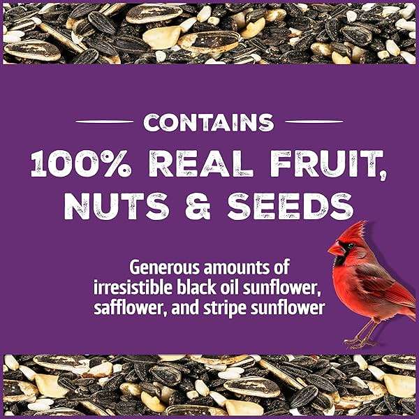 Pennington Pride Songbird Nut & Fruit Blend, Wild Bird Seed for Outside Feeders, Advanced Nutrition Formula for Health, Bird Food, 10-lb. Bag - Image 2