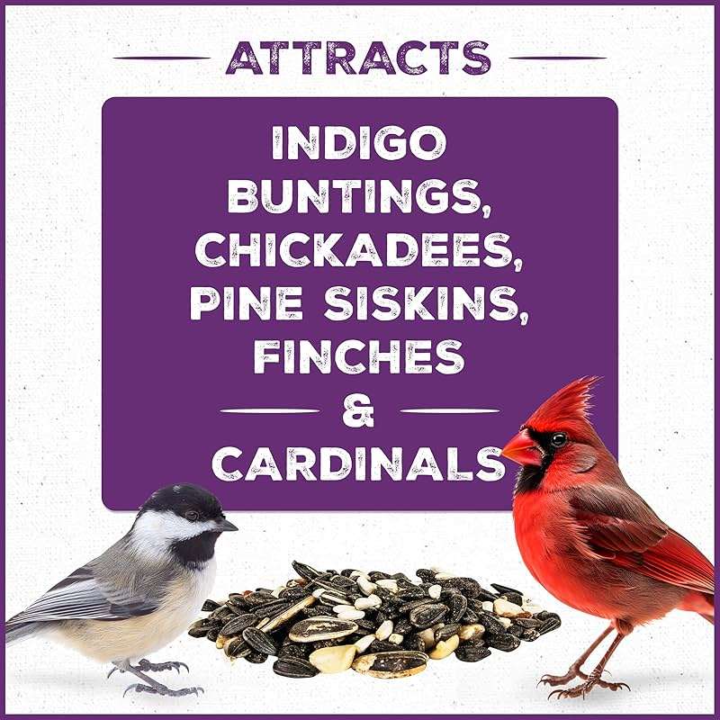 Pennington Pride Songbird Nut & Fruit Blend, Wild Bird Seed for Outside Feeders, Advanced Nutrition Formula for Health, Bird Food, 10-lb. Bag - Image 3