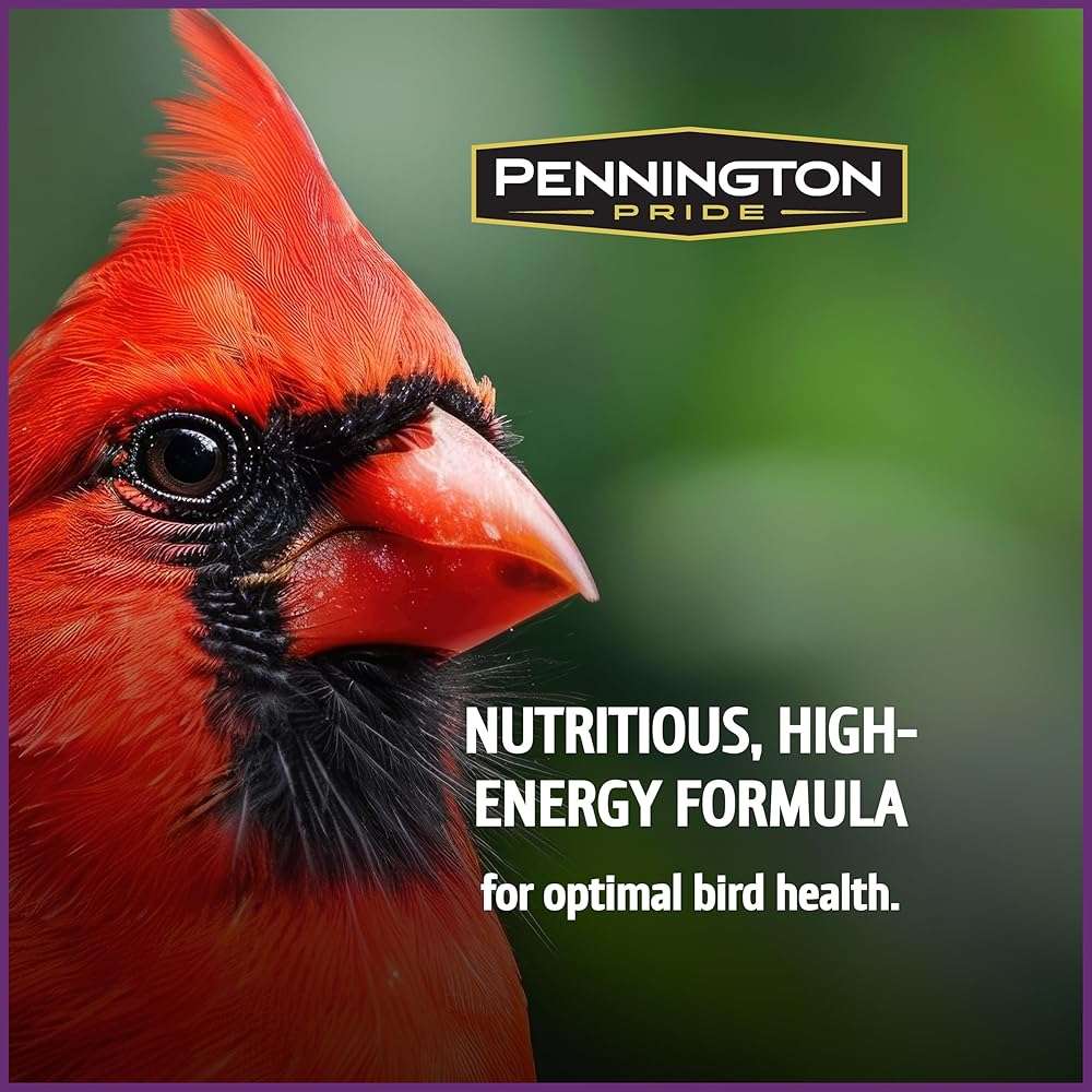 Pennington Pride Songbird Nut & Fruit Blend, Wild Bird Seed for Outside Feeders, Advanced Nutrition Formula for Health, Bird Food, 10-lb. Bag - Image 4