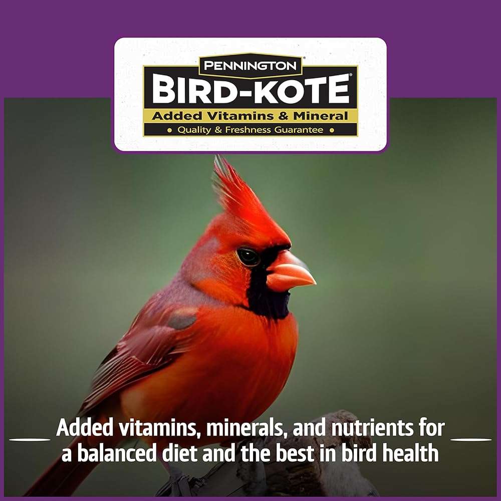 Pennington Pride Songbird Nut & Fruit Blend, Wild Bird Seed for Outside Feeders, Advanced Nutrition Formula for Health, Bird Food, 10-lb. Bag - Image 6