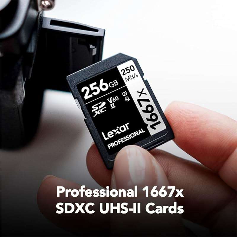 Lexar 256GB Professional 1667x SD Card, UHS-II, C10, U3, V60, Full HD, 4K, Up To 250MB/s Read SDXC Memory Card, for Professional Photographer, Videographer, Enthusiast (LSD256CBNA1667) - Image 2