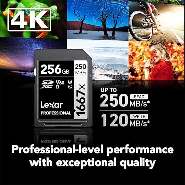 Lexar 256GB Professional 1667x SD Card, UHS-II, C10, U3, V60, Full HD, 4K, Up To 250MB/s Read SDXC Memory Card, for Professional Photographer, Videographer, Enthusiast (LSD256CBNA1667) - Image 3