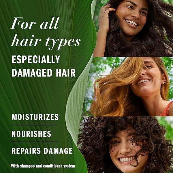 Herbal Essences Argan Oil Repair Shampoo & Conditioner Set, Moisturizes & Smoothes, Paraben-Free, Color-Safe, pH-Balanced, Citrus Scent, 20.2 Fl Oz, 2-Pack - Image 2
