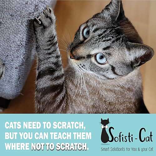 Sofisti-Cat Training Tape, Cat Tape for Furniture, Scratch Deterrent Keep Cats from Scratching Furniture with Our Double -Sided Repellent, 2.5" x 15' Roll - Image 3