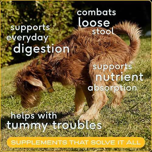 Native Pet Pumpkin for Dogs - Organic Dog Food Topper Powder - Promotes Firm Stools, Supports Digestive, Bowel Health & Nutrient Absorption - USDA Organic, Rich in Fiber with Real Pumpkin - 30 Scoops - Image 2