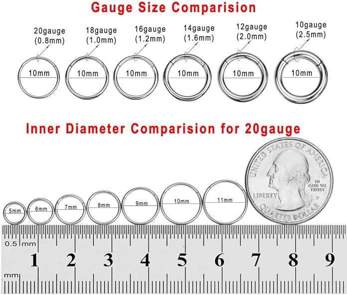 FANSING Men Women 316L Surgical Steel Hinged Nose Rings Hoop for Nostril Septum Cartilage Helix Daith Tragus Rook Conch Lip Ear Lobe Piercings - Image 3