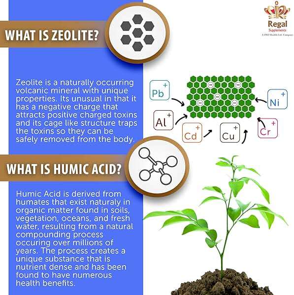 Zeolite–AV Capsules | Potent Immune System Booster with Humic Acid | Restore Trace Minerals, Replenish Electrolytes, & Detox Support| Promotes Energy, Restful Sleep & Mental Clarity (90 Count) - Image 4