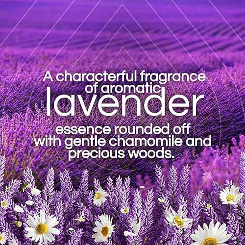 Air Wick Plug in Scented Oil Starter Kit, 2 Warmers + 6 Refills, Lavender & Chamomile, Eco Friendly, Essential Oils, Air Freshener - Image 3