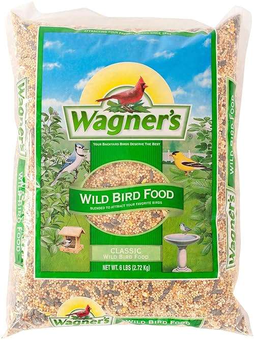Wagner's 52003 Classic Blend Wild Bird Food, 6-Pound Bag - Image 1