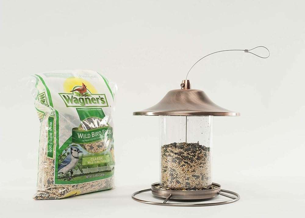 Wagner's 52003 Classic Blend Wild Bird Food, 6-Pound Bag - Image 7
