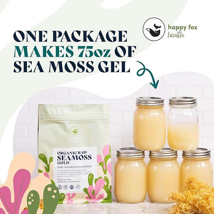 HAPPY FOX Organic Sea Moss Raw Gold - Makes 75oz of Seamoss Gel Rich in Vitamins & Minerals, Certified Non-GMO, Wildcrafted, Sundried Superfood - 3.5 oz Bag - Image 2