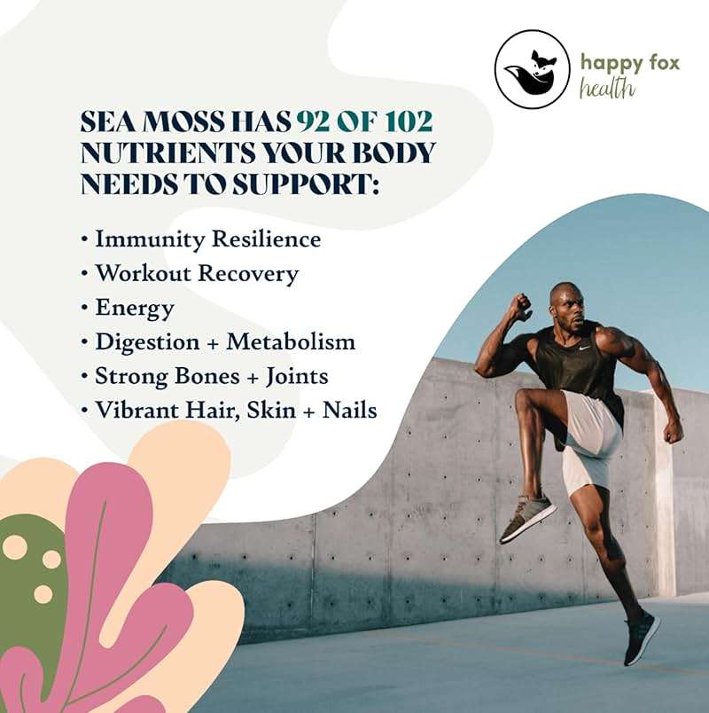 HAPPY FOX Organic Sea Moss Raw Gold - Makes 75oz of Seamoss Gel Rich in Vitamins & Minerals, Certified Non-GMO, Wildcrafted, Sundried Superfood - 3.5 oz Bag - Image 3