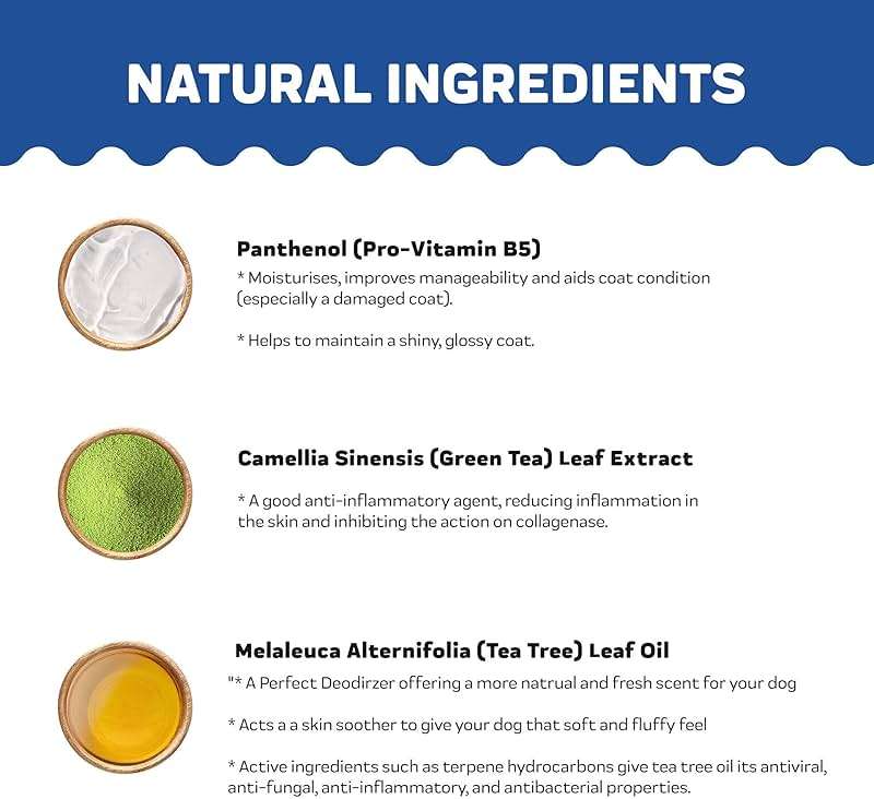 Innovet Pet Products All Natural Oatmeal & Honey Shampoo + Conditioner for Dogs Cats & Small Pets - 16 Oz - No Tear Shampoo for Allergies, Sensitive, Dry Itchy Skin Relief | Made in USA - Image 3