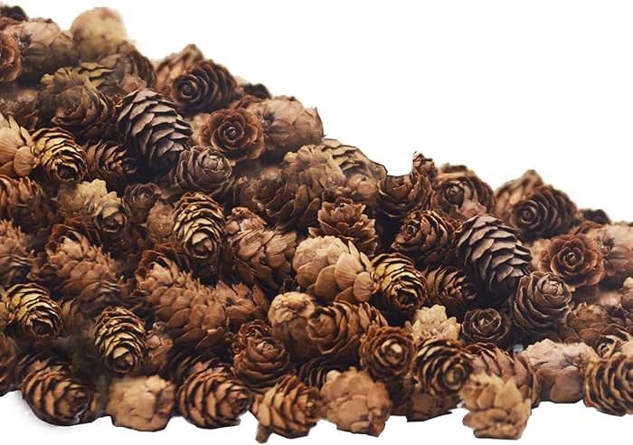 Deloky 150 Pcs Christmas Natural Mini Pine Cones- 2CM Thanksgiving Small Pinecones Ornaments Vase Fillers for DIY Crafts, Home Decorations, Fall and Christmas, Wedding Decor - Product Image